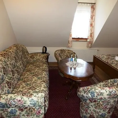 ホリデーパーク Gosciniec Dworski W Ropie - Goscinne