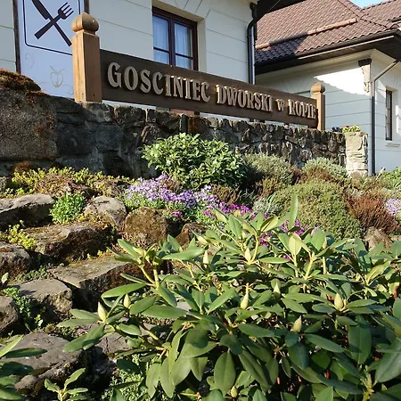 ホリデーパーク Gosciniec Dworski W Ropie - Goscinne Ropa