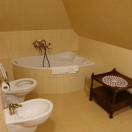 ホリデーパーク Gosciniec Dworski W Ropie - Goscinne Ropa